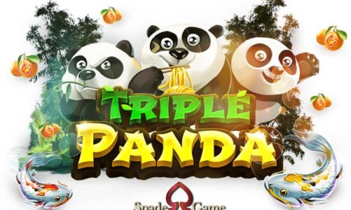 Panda Slot สล็อตแพนด้า เกมสล็อตชื่อดัง จากค่าย Spadegaming